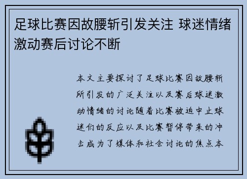 足球比赛因故腰斩引发关注 球迷情绪激动赛后讨论不断