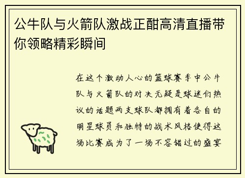公牛队与火箭队激战正酣高清直播带你领略精彩瞬间